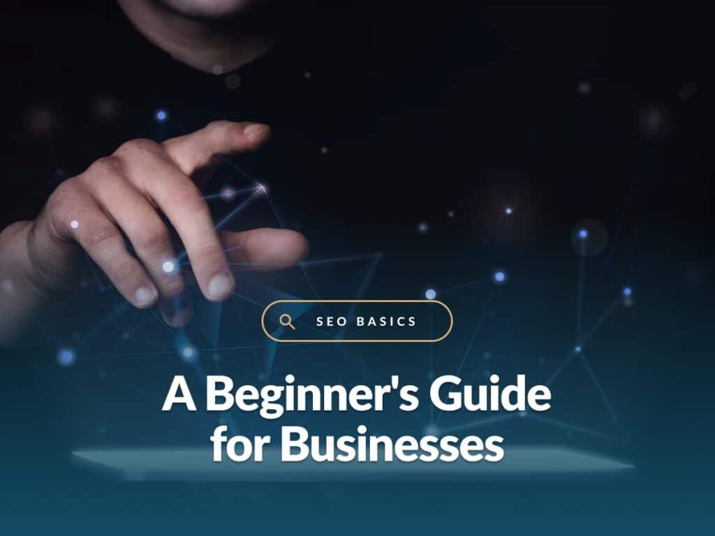 Beginner's Guide for Businesses
