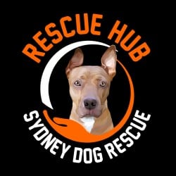 Rescue Hub