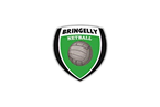 logo-bringelly